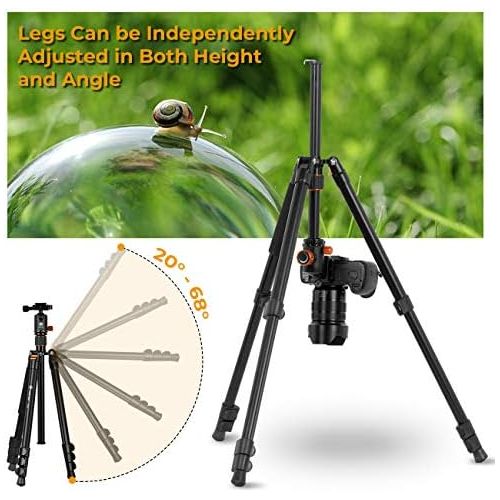  TARION Camera Tripod Monopod 61in with Panorama Ball Head Aluminium Travel Tripod for DSLR Mirrorless Cameras Support Macro Shots Counter Weight 13lb Payload Lightweight 16.9 Folda