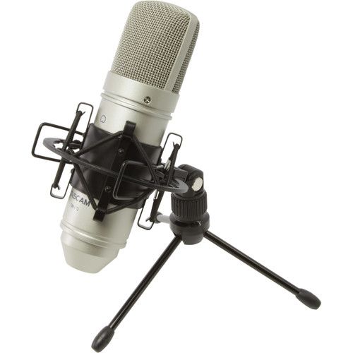  TASCAM TM-80 Large-Diaphragm Cardioid Condenser Microphone