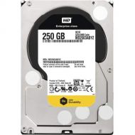 TDSOURCING WESTERN DIGITAL WD-IMSourcing DS RE WD2503ABYZ 250 GB Hard Drive - SATA (SATA/600) - 3.5 Drive - Internal - 7200rpm - 64 MB Buffer