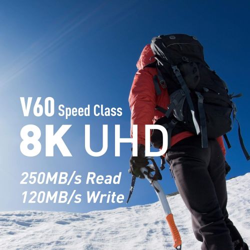  TEAMGROUP XTREEM 256GB UHS-II U3 V60 8K UHD Read/Write Speed up to 250/120MB/s SDXC Memory Card for Professional Vloggers, Filmmakers, Photographers & Content Curators TXSDXC256GII