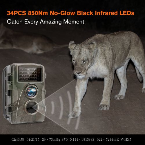  TEC.BEAN Trail Camera 12MP 1080P 2.3 Inch LCD Screen Full HD Hunting Game Camera Infrared LEDs Wildlife Camera with Night Vision Up to 65 Feet IP56 Waterproof Game Cam for Wildlife