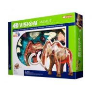 TEDCO Tedco 4D Vision Woolly Mammoth Anatomy Model