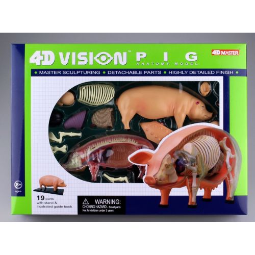  TEDCO Pig Anatomy Model 4D VISION by AOSHIMA