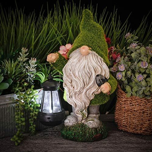  Besuchen Sie den TERESA'S COLLECTIONS-Store TERESAS COLLECTIONS LED Solarleuchte Gartenzwerg mit Laterne 33cm Gartenwichtel Zwerg Gartenfiguren aus Kunstharz Wetterfest Fruehling Sommer Gartendeko Figuren fuer Aussen Hof Balkon