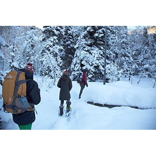  [아마존베스트]TETON Sports Adventure Backpacks; Lightweight, Durable Daypacks for Hiking, Travel and Camping: Not Your Basic Backpack