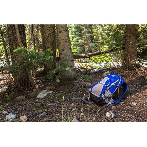  TETON Sports Oasis 1200 Hydration Pack; Free 3-Liter Hydration Bladder; For Backpacking, Hiking, Running, Cycling, and Climbing