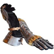 THORINSTRUMENTS (with device) Medieval Articulated Gauntlets with Brass Accents ABS