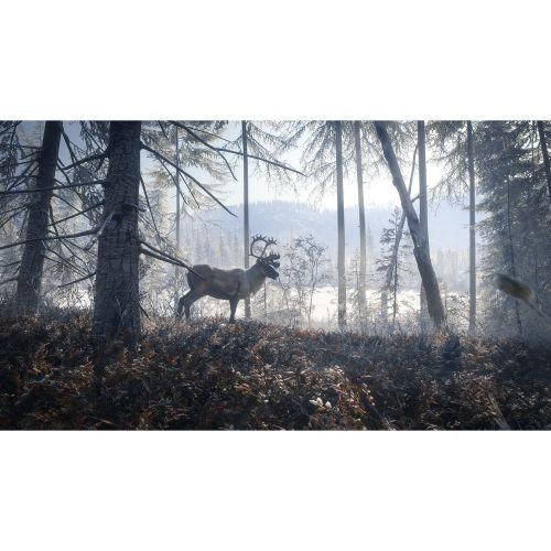  Nordic Games theHunter: 2019 Game of the Year Edition, THQ-Nordic, PlayStation 4, 811994021670