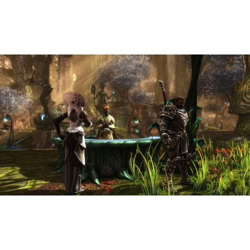  [아마존베스트]THQ Nordic Kingdoms of Amalur Re-Reckoning - Xbox One - Xbox One Standard Edition