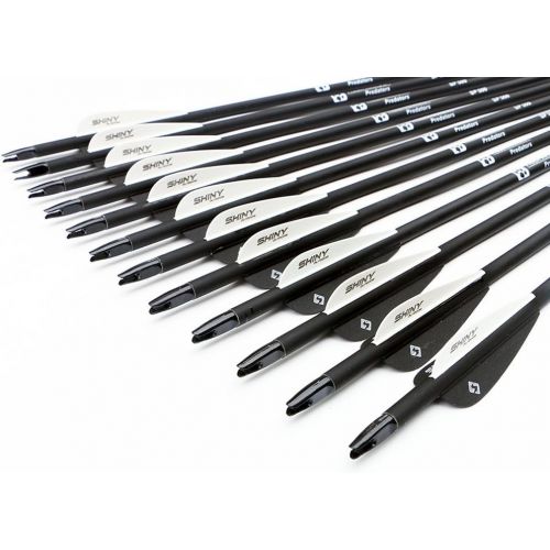  TIGER ARCHERY 30Inch Carbon Arrow Practice Hunting Arrows with Removable Tips for Compound & Recurve Bow(Pack of 12)