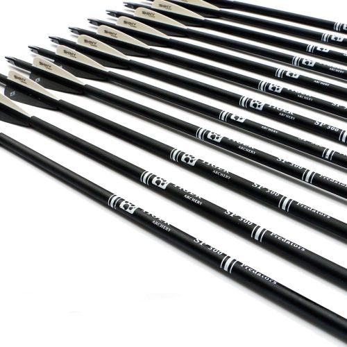  TIGER ARCHERY 30Inch Carbon Arrow Practice Hunting Arrows with Removable Tips for Compound & Recurve Bow(Pack of 12)