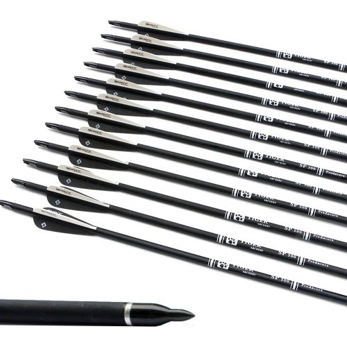  TIGER ARCHERY 30Inch Carbon Arrow Practice Hunting Arrows with Removable Tips for Compound & Recurve Bow(Pack of 12)