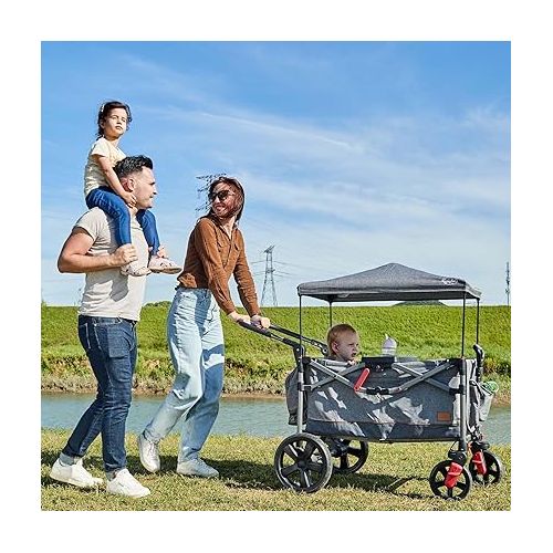  Busy Bee Foldable Wagon Stroller for 2 Kids, Push Pull Collapsible Kids Wagon with Adjustable Handle Bar, Removable Canopy, 5-Point Harness, Shock-Absorbing Wheels, Grey