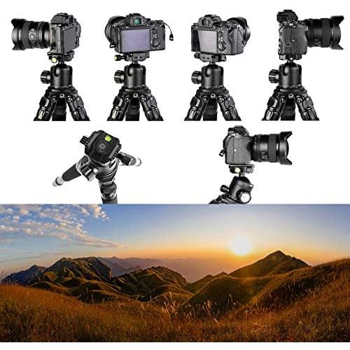  [아마존베스트]TINKTEEK Wing Panorama Tripod Head 2 Panorama Panels 390 G Height 8 cm Load Capacity 8 kg Compatible with Arca Swiss