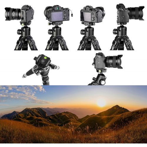  [아마존베스트]TINKTEEK Wing Panorama Tripod Head 2 Panorama Panels 390 G Height 8 cm Load Capacity 8 kg Compatible with Arca Swiss