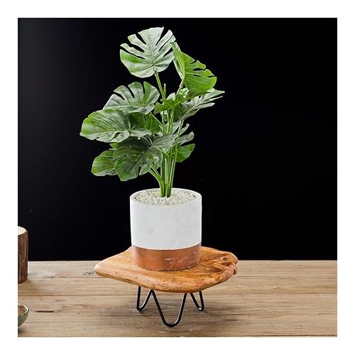  TJ Global Natural Edge Wooden Stand with Hairpin Legs for Displaying Cakes, Plants, Candles, Decor (L9 x W8.5 x H4)