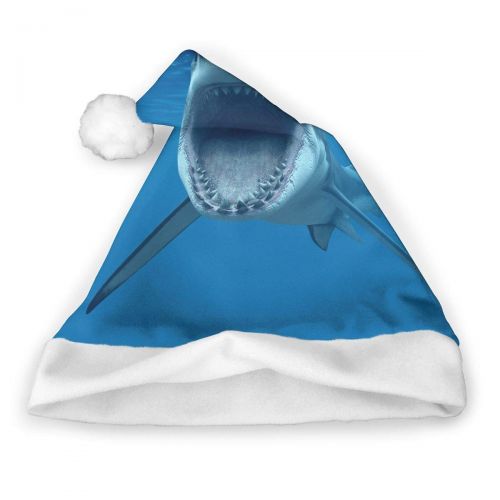  TNC2P Santa Hat - Christmas Hat, Festive Holiday Accessories For Adults and Children