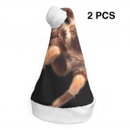 TNC2P Santa Hat - Christmas Hat, Festive Holiday Accessories For Adults and Children