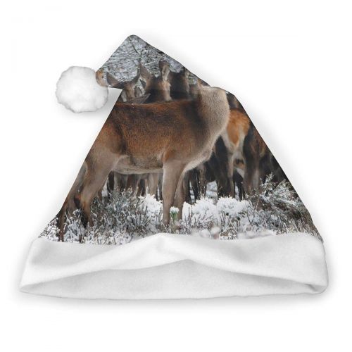  TNC2P Santa Hat - Christmas Hat, Festive Holiday Accessories For Adults and Children