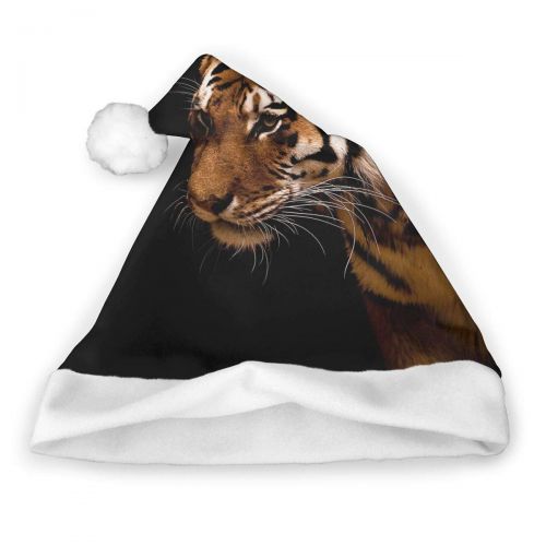  TNC2P Santa Hat Christmas Hat, Festive Holiday Accessories for Adults Teens Children