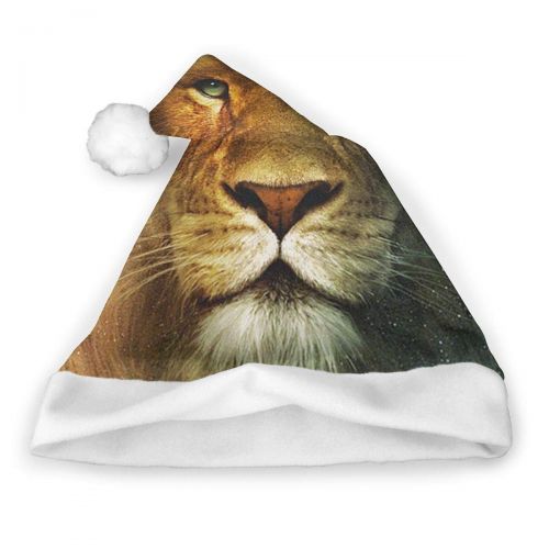  TNC2P Santa Hat Christmas Hat, Festive Holiday Accessories for Adults Teens Children