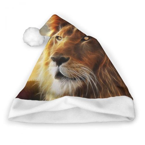  TNC2P Santa Hat Christmas Hat, Festive Holiday Accessories for Adults Teens Children