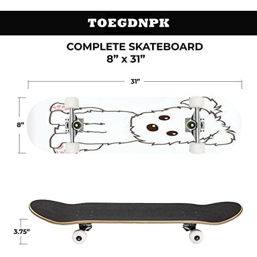  TOEGDNPK Skateboards for Beginners Teens Adults Bernese Mountain Dog Color Dog Dog Head Isolated on White 31 X 8 Complete Standard Skate Board, Outdoor Sports Maple Double Kick Concave Skat