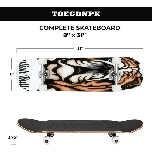  TOEGDNPK Skateboards for Beginners Teens Adults Head English Bulldog Dog Breed Color Image of a Dogs Head Isolated on 31 X 8 Complete Standard Skate Board, Outdoor Sports Maple Double Kick