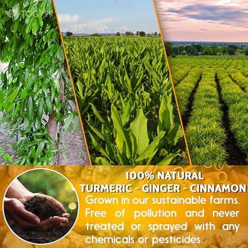  120 Bags Premium Turmeric Ginger Cinnamon Tea, Improve Digestion, Support Brain, Weight, Skin and Sleep, Eco-Conscious Tea Bags and Premium Natural Ingredients. Turmeric Ginger Herbal Tea. No Sugar, No Caffeine, No Gluten, Vegan.