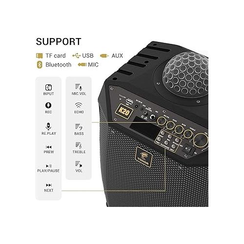  TONOR Wireless Karaoke Machine for Adults K20, Bundle with UHF Wireless Microphones TW310 Grey