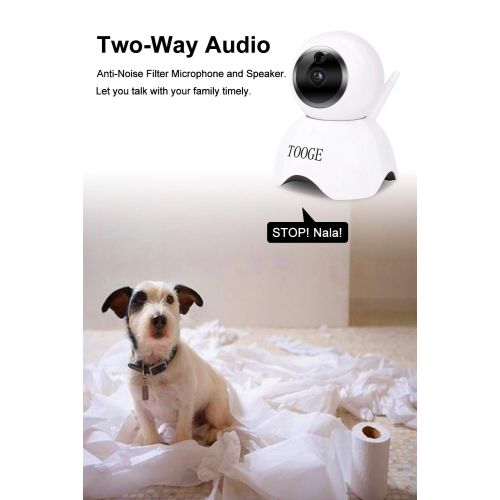  [아마존 핫딜]  [아마존핫딜]Pet Dog Camera, TOOGE Home WiFi Security Camera FHD Surveillance Baby Monitor Motion Detection with Night Vision 2-Way Audio Pan/Tilt/Zoom Compatible with iOS/Android