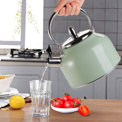  TOPZEA Tea Kettle with Handle, 3.2 Quart Stainless Steel Whistling Teapot Stove Top Tea Kettle for Heating Water, Fast Boiling Water Teakettle, Green