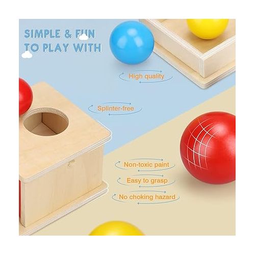  TOY Life Object Permanence Box with Tray and 3 Balls Montesorri Toys 6-12 Months Ball Drop Toy Box Wooden Baby Montessori Toys for Babies 6 to 12 Months Early Educational Montessori Toys