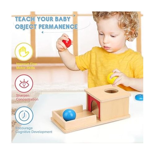  TOY Life Object Permanence Box with Tray and 3 Balls Montesorri Toys 6-12 Months Ball Drop Toy Box Wooden Baby Montessori Toys for Babies 6 to 12 Months Early Educational Montessori Toys