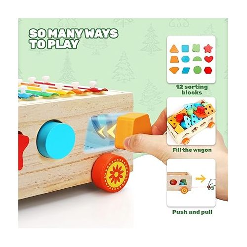  TOY Life 4 in 1 Baby Xylophone for Toddlers Wooden Hammering Pounding Toy Shape Sorter for Toddler Baby Toy 12-18 Month Sorting Toy Learning Block Sensory Wood Montessori Toys for 1 Year Old Gift