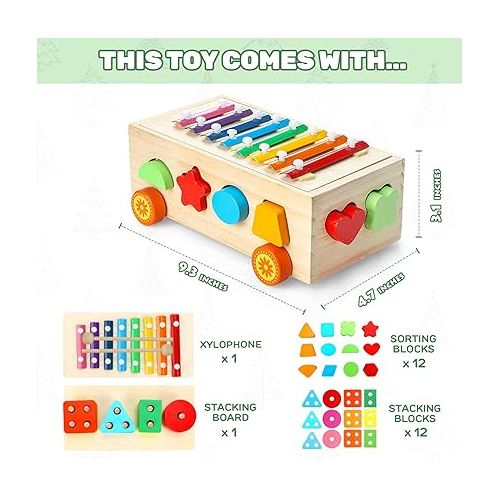  TOY Life 4 in 1 Baby Xylophone for Toddlers Wooden Hammering Pounding Toy Shape Sorter for Toddler Baby Toy 12-18 Month Sorting Toy Learning Block Sensory Wood Montessori Toys for 1 Year Old Gift