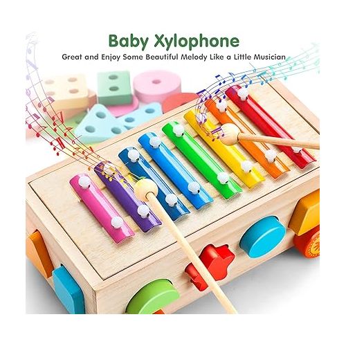  TOY Life 4 in 1 Baby Xylophone for Toddlers Wooden Hammering Pounding Toy Shape Sorter for Toddler Baby Toy 12-18 Month Sorting Toy Learning Block Sensory Wood Montessori Toys for 1 Year Old Gift