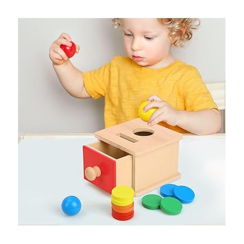  TOY Life Montessori Toys Object Permanence Box Toys 2-in-1 Wooden Ball Drop Toy & Coin Box Montessori Toys for Babies 6-12 Months Wooden Toys for 1 + Year Old Baby Development Toy Gifts for Toddler