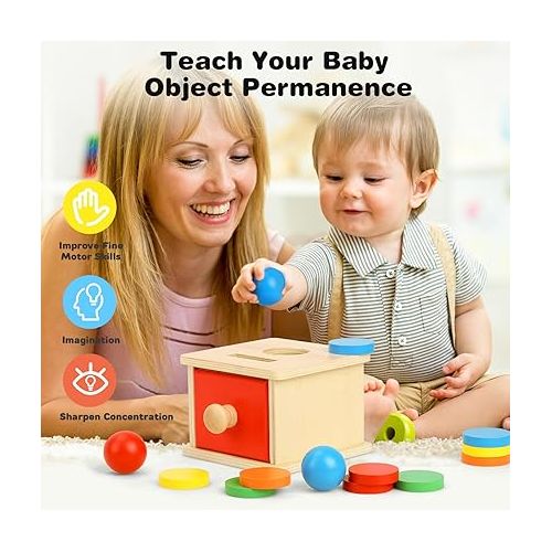  TOY Life Montessori Toys Object Permanence Box Toys 2-in-1 Wooden Ball Drop Toy & Coin Box Montessori Toys for Babies 6-12 Months Wooden Toys for 1 + Year Old Baby Development Toy Gifts for Toddler