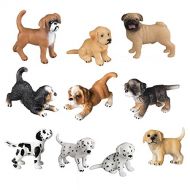 TOYMANY 10PCS Dog Figurines Playset, Realistic Detailed Plastic Puppy Figures, Hand Painted Emulational Dogs Animals Toy Set, Cake Toppers Christmas Birthday Gift for Kids Toddlers