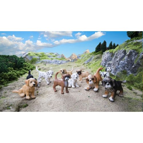  TOYMANY 10PCS Dog Figurines Playset, Realistic Detailed Plastic Puppy Figures, Hand Painted Emulational Dogs Animals Toy Set, Cake Toppers Christmas Birthday Gift for Kids Toddlers