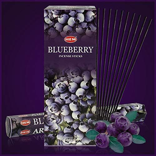  인센스스틱 TRUMIRI Blueberry Incense Sticks And Incense Stick Holder Bundle Insence Insense Hem Incense Sticks