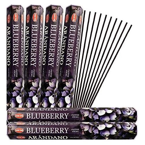  인센스스틱 TRUMIRI Blueberry Incense Sticks And Incense Stick Holder Bundle Insence Insense Hem Incense Sticks