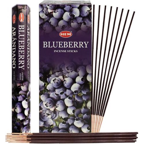  인센스스틱 TRUMIRI Blueberry Incense Sticks And Incense Stick Holder Bundle Insence Insense Hem Incense Sticks