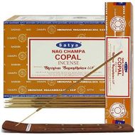 인센스스틱 TRUMIRI Copal Incense Sticks And Incense Stick Holder Bundle Insence Insense Satya Incense