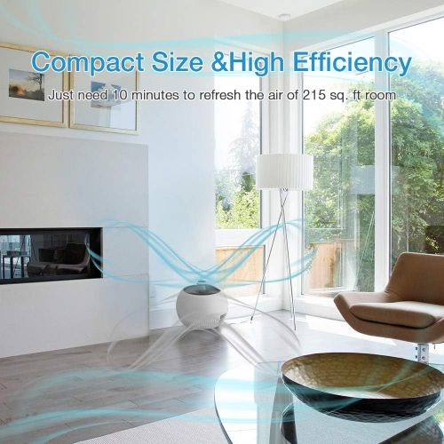  TRUSTECH True Hepa Filter Air Purifier for Home with 3 Fan Speeds, 3 Stage Filtration, Super Quite 25 dB, Compact Size, Reduce Dust Particles Pet Dander Pollen Odor Eliminator