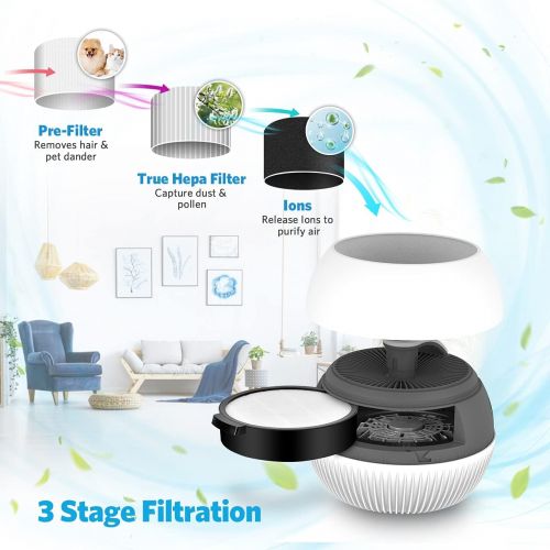  TRUSTECH True Hepa Filter Air Purifier for Home with 3 Fan Speeds, 3 Stage Filtration, Super Quite 25 dB, Compact Size, Reduce Dust Particles Pet Dander Pollen Odor Eliminator