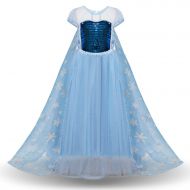 TTMOW Snow Queen Princess Elsa Costumes Birthday Dress Up for Little Girls with 6 Packs Accessories