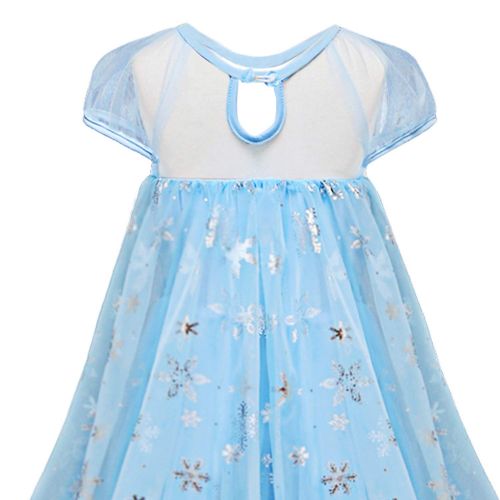  TTMOW Snow Queen Princess Elsa Costumes Birthday Dress Up for Little Girls with 6 Packs Accessories