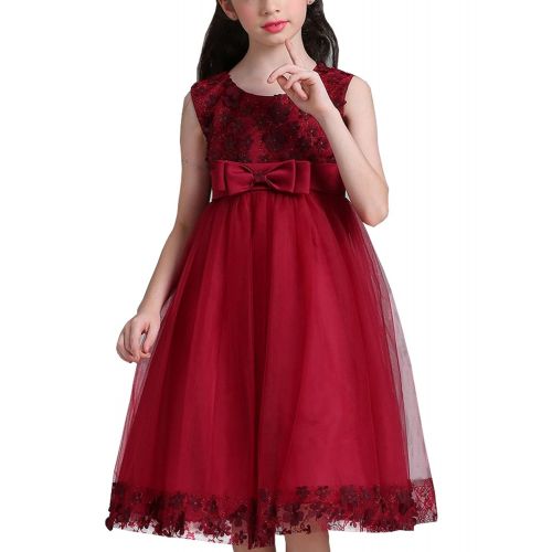  TTYAOVO Girls Lace Applique Dress Birthday Wedding Party Princess Prom Dresses